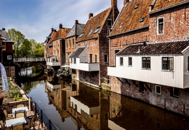 debic basiliek horeca