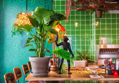 interieur Spice Monkey