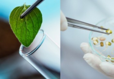 Terugblik Taste the Future 