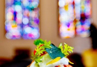 debic basiliek horeca