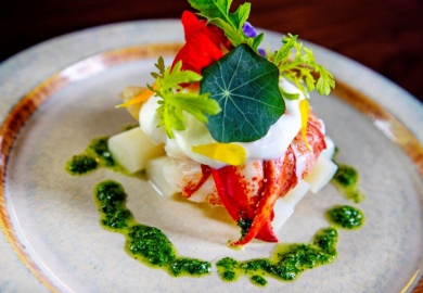 debic basiliek horeca