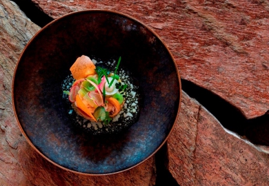 [Geopend] restaurant Alma in Oisterwijk 