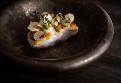 [Geopend] restaurant Alma in Oisterwijk 