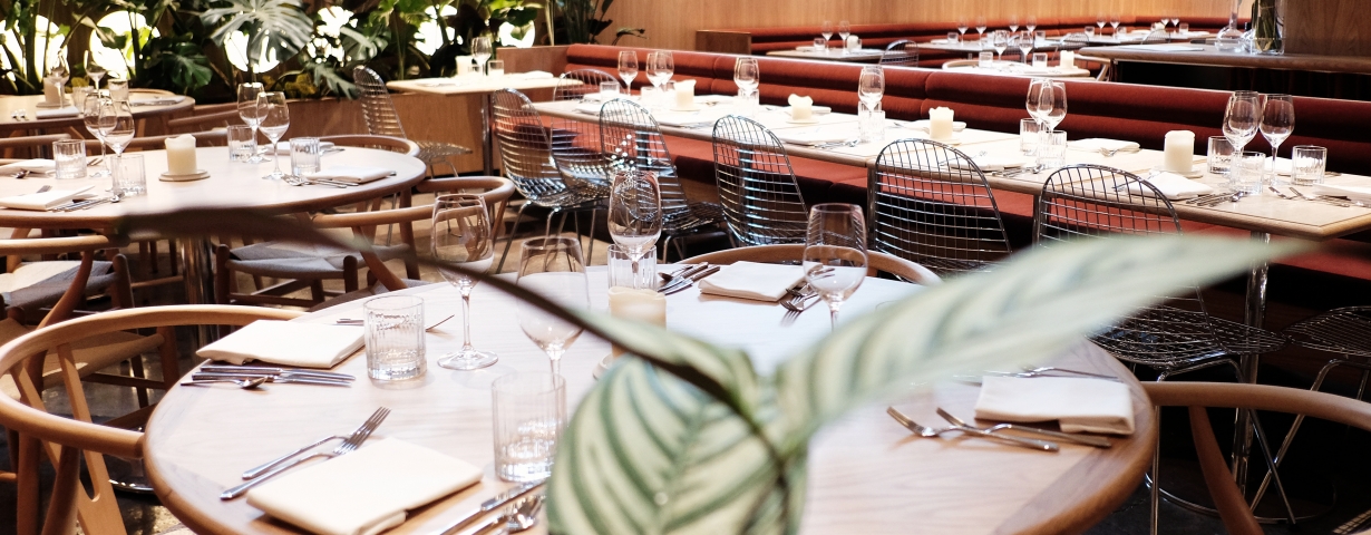 DSCF8811 ©TITIA HAHNE