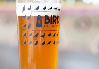 estida bird brewery