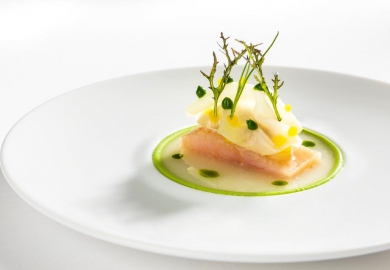 kasteel heemstede gerecht