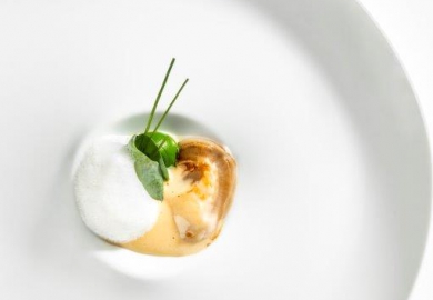 kasteel heemstede gerecht