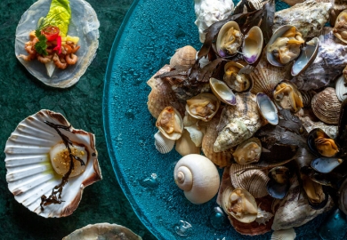 gerecht edwin vinke en Torben Bouterse