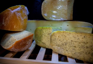 [Geopend] Kaasbar Amsterdam in Amsterdam 