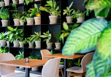 restaurant konnekt soesterberg