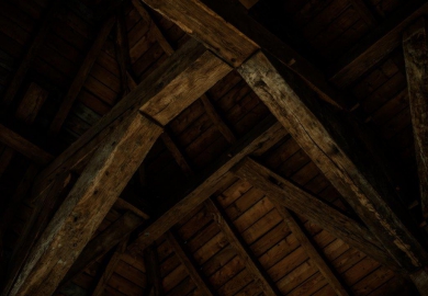 [Geopend] Stable in Edegem (België)