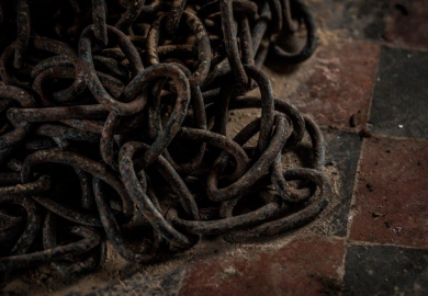 [Geopend] Stable in Edegem (België)