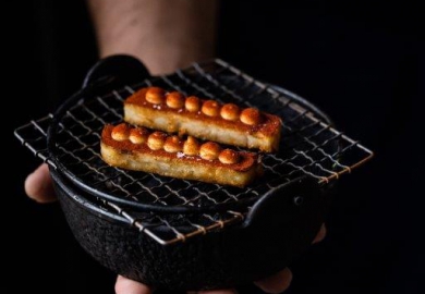 [Geopend] Stable in Edegem (België)