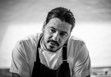 [Geopend] Stable in Edegem (België)