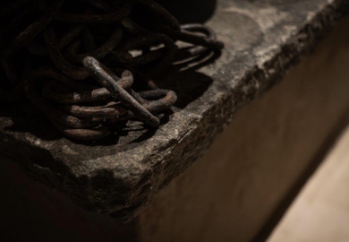 [Geopend] Stable in Edegem (België)