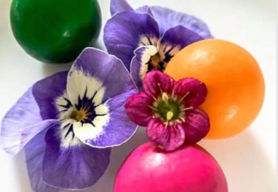 Rolls Rolls van La Fève