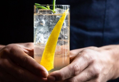 Talapanescu naar Patrón Global finale Mexico