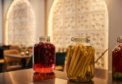 interieur flavourz by servais tielman