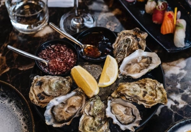 gerecht d cuisine den haag