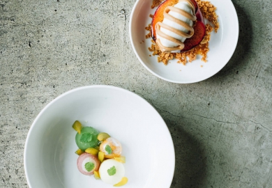 gerecht thuisuiteten.nl