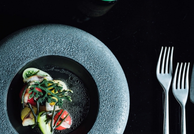 gerecht thuisuiteten.nl