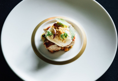 gerecht thuisuiteten.nl