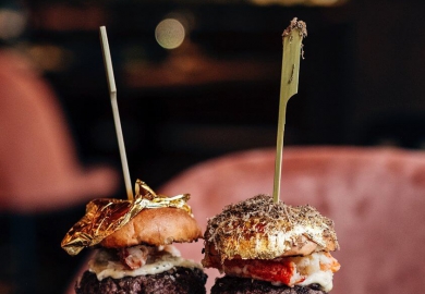 hamburger d cuisine den haag