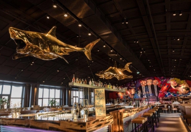 selwyn senatori harbour club