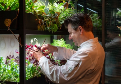 four elements amsterdam