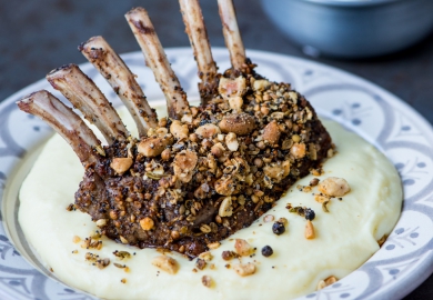 Arabische keuken verrijkt NLse eetcultuur Arabische keuken verrijkt NLse eetcultuur