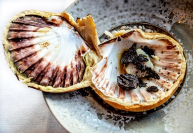 [Portret] Bjorn van Aalst en Chris Naylor 