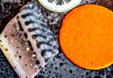 [Portret] Bjorn van Aalst en Chris Naylor 