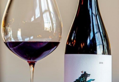 [Portret] Bjorn van Aalst en Chris Naylor 