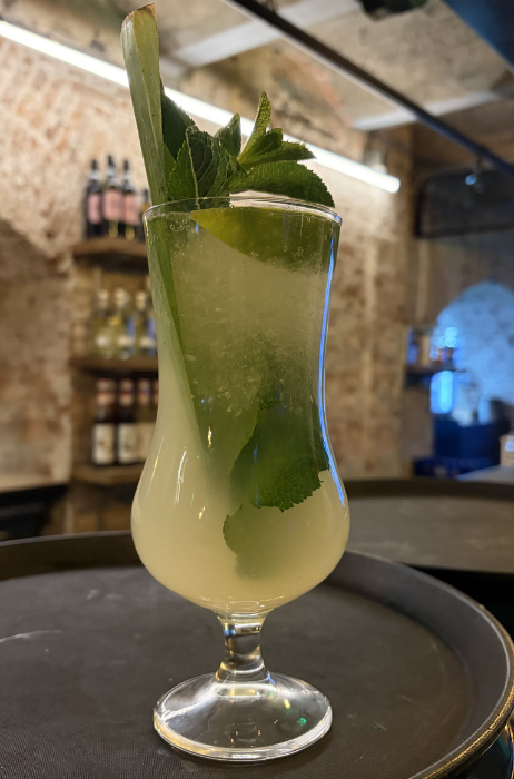 Mojito-mio-rotterdam