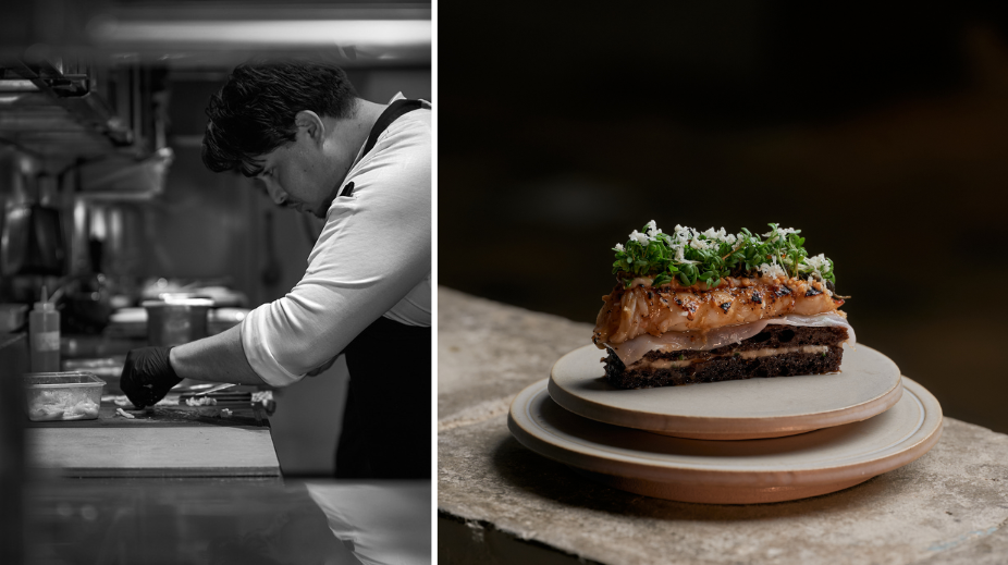 Novaela in Delft - Header