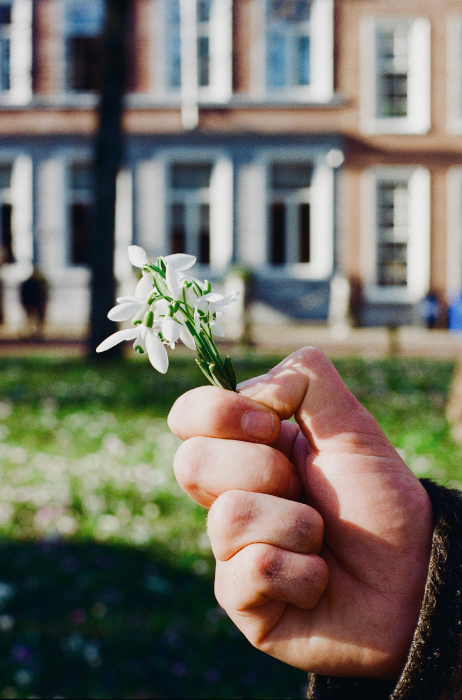 galanthus-in-den-haag-sfeerbeeld (1)