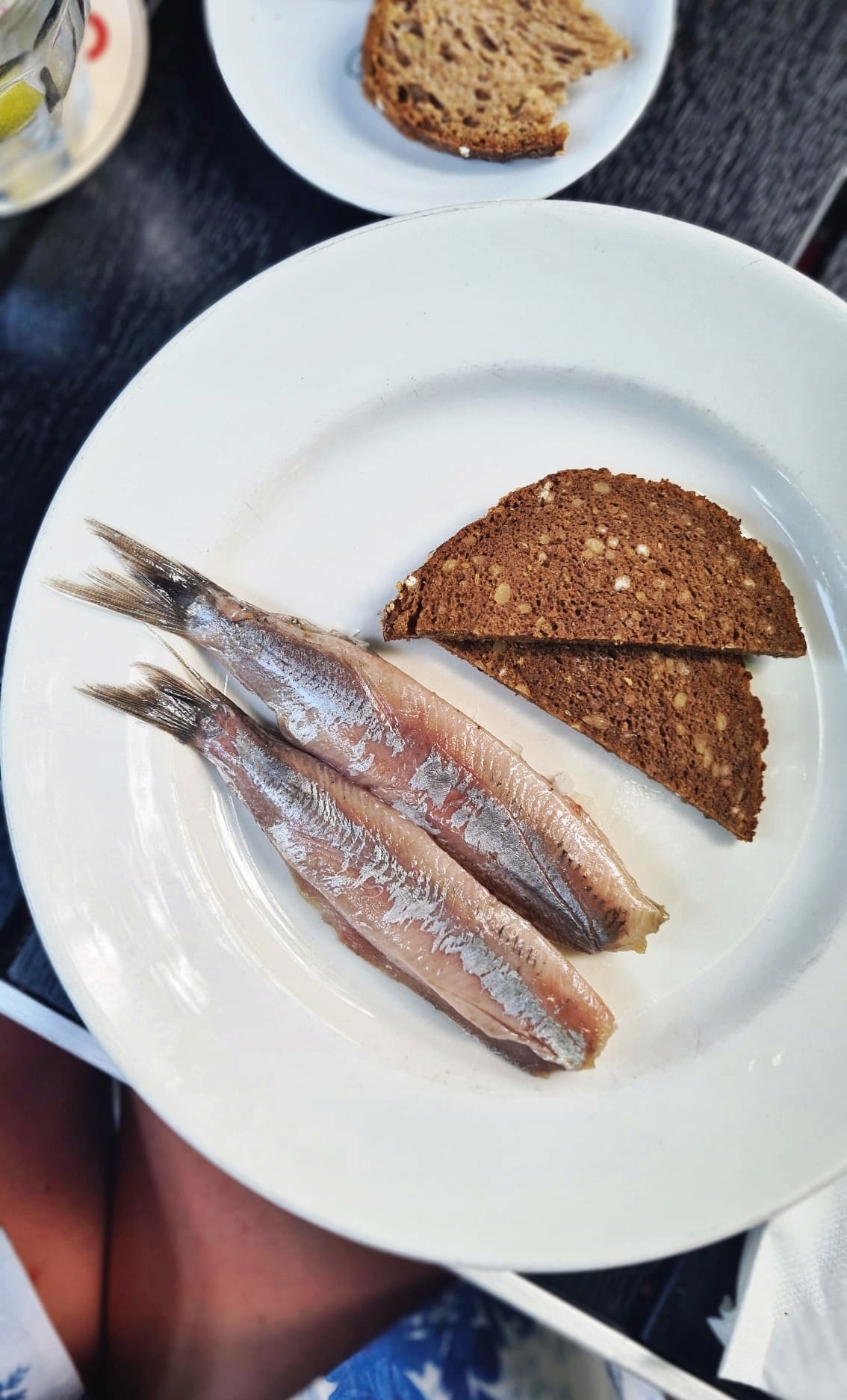 292359105_5584882161605708_8826672242315816215_n-1