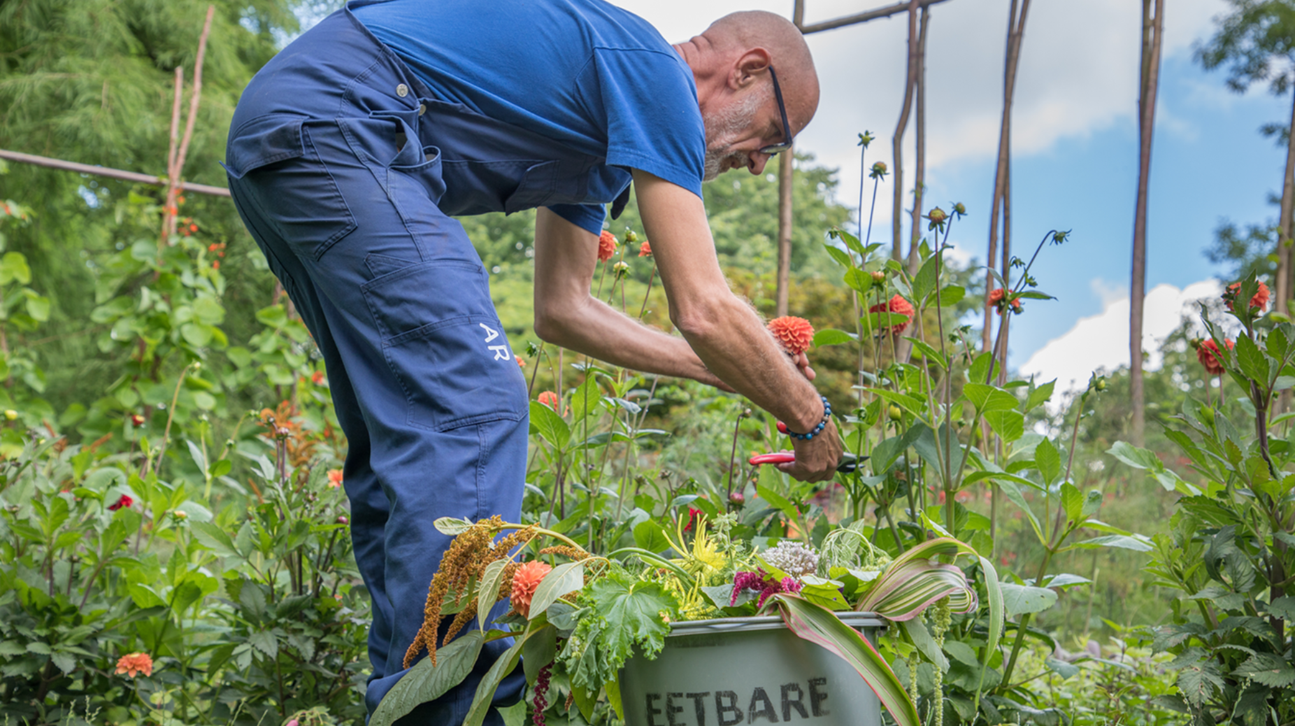 ARTIS-hovenier Ton Hilhorst in de eetbare tuin. © ARTIS TDR Photography JPG