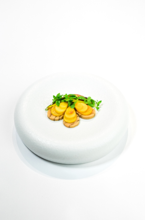 Bocuse-dOr-Nederland-geselecteerd-2026 (1)