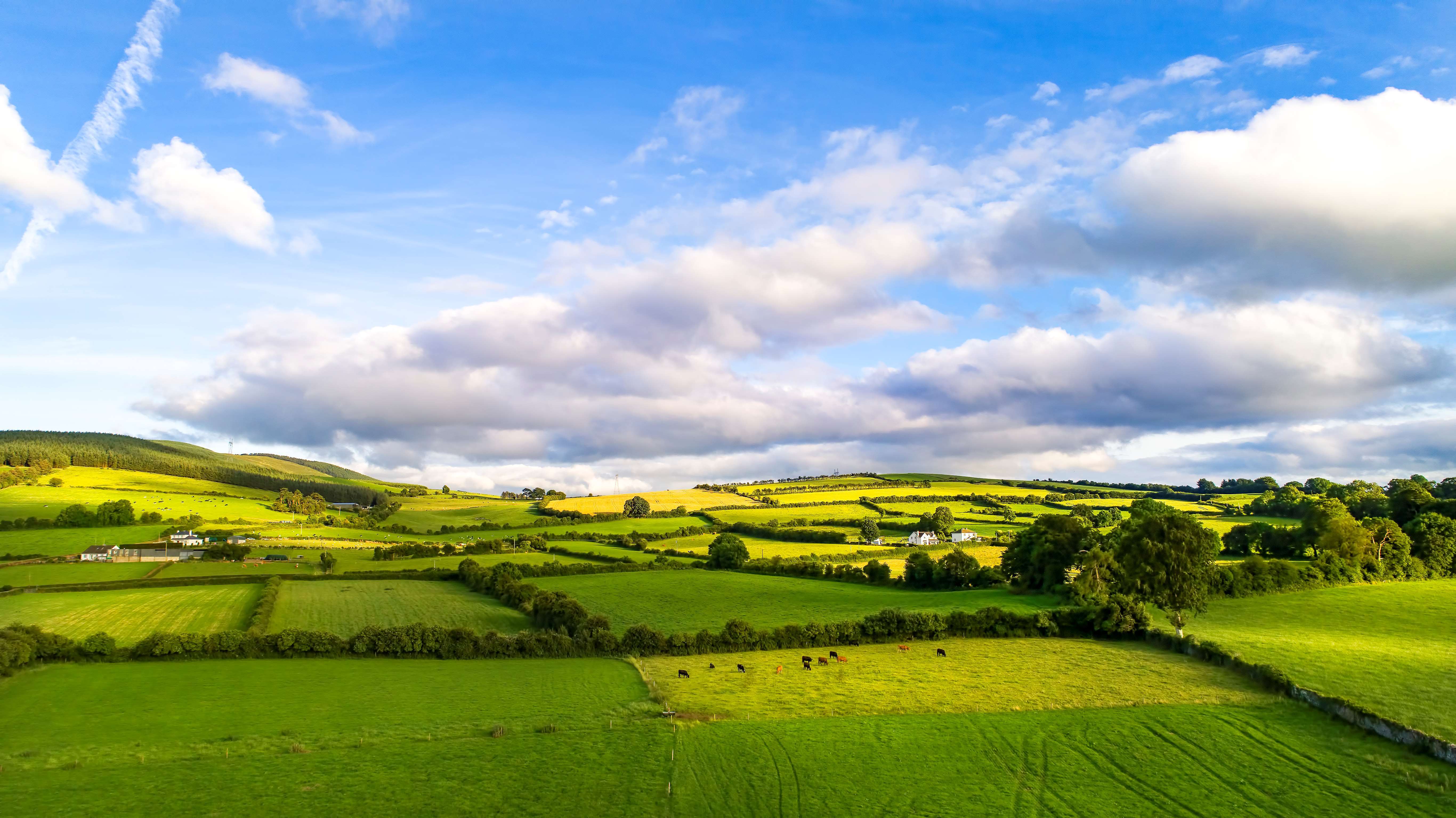 Bord-Bia-Landscape-Cloudy-Sky