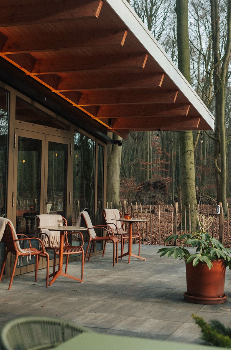 Boshut-Rotterdam-Terras-2