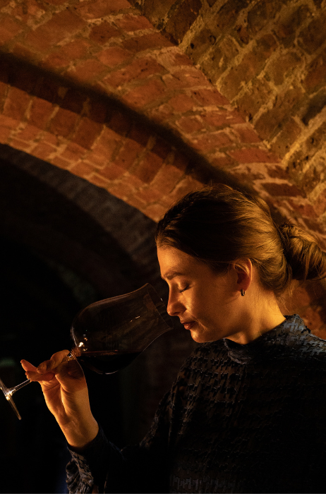 Cellar Door in Woudrichem_4