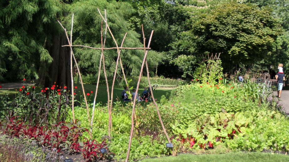 Entree_Header foto (926 x 519 px) - 2024-05-16T233852.585-1