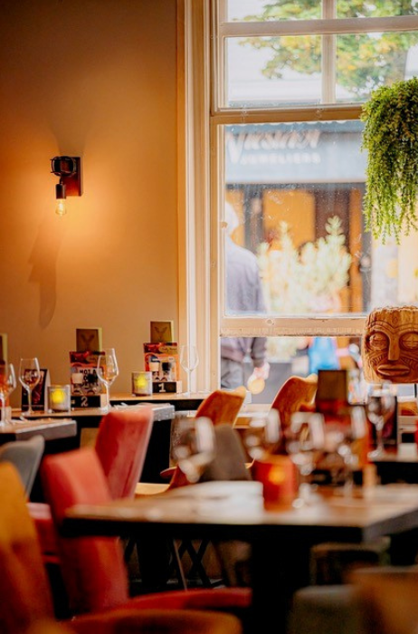 Funky-Moose-Lisse-nieuw (3)