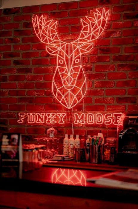 Funky-Moose-in-Lisse (1)