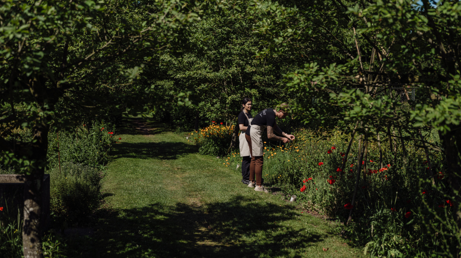 Kasteel Gemert - Tuin