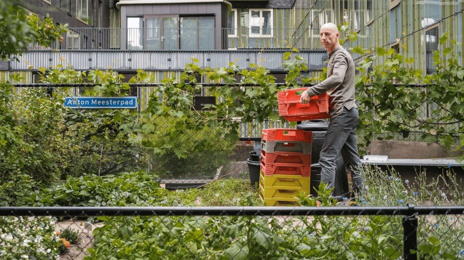 Luc Kusters in zijn moestuin