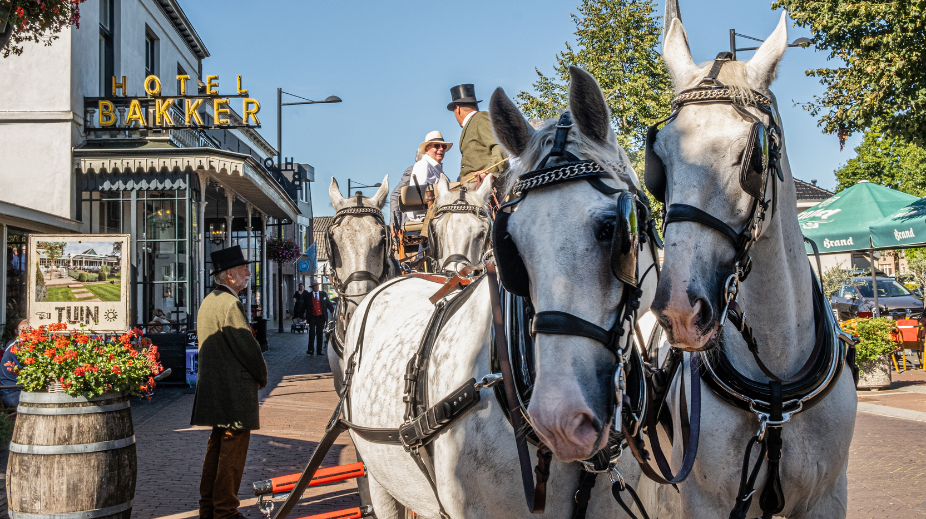 Hotel-Bakker-Vorden-paarden