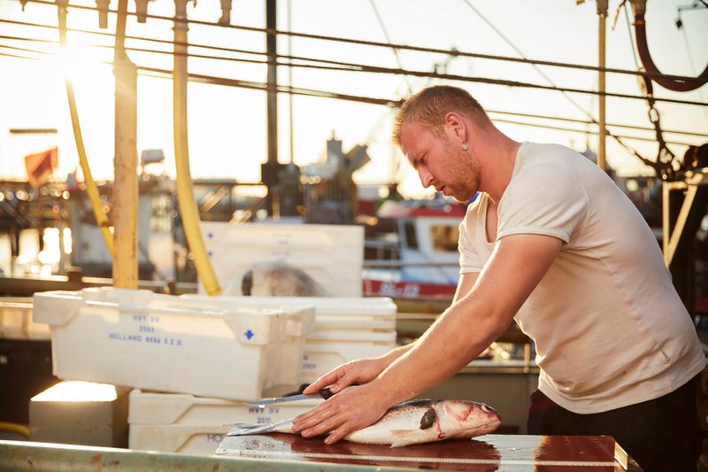 harder vissen bereiden