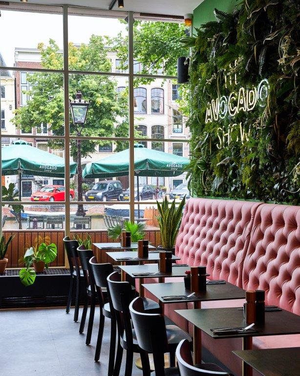 avocado show groeien